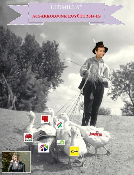 bajnai-ludas_matyi.jpg